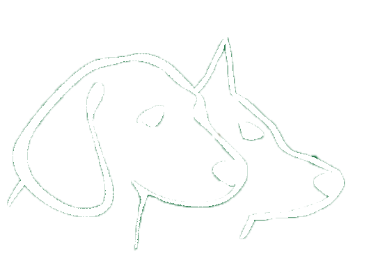 KIRAS HOME