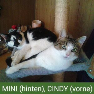bild_1