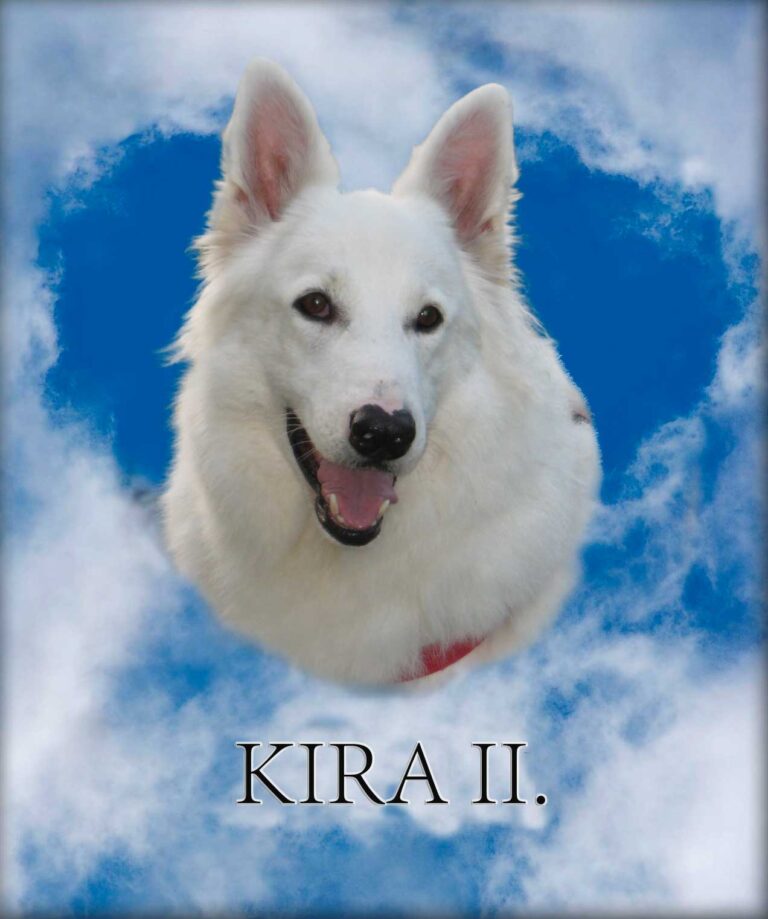 kira-II-OHNE-RAHMEN