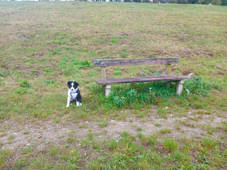 Mehr über den Artikel erfahren Der kleine Moriz entdeckt die Welt