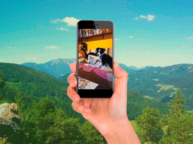 Mehr über den Artikel erfahren Morgenspass mit Klein-Moriz