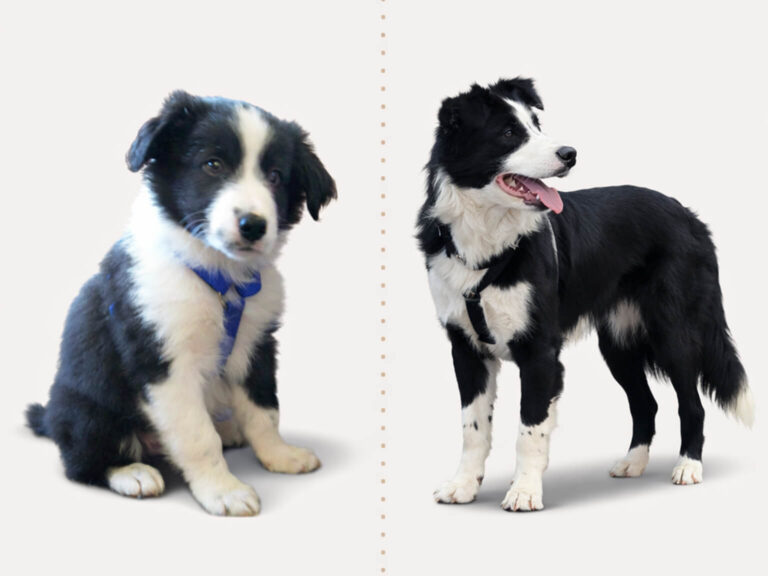 Mehr über den Artikel erfahren Die Zeit vergeht so schnell…