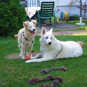 118_2585-min